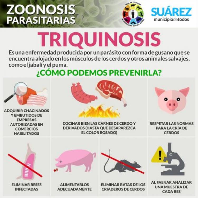 Llegó el invierno…época de carneadas: debemos prevenir la Triquinosis