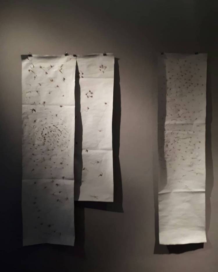 Isidoro Espacio de Arte te invita a recorrer la muestra “El Paisaje, un absoluto”