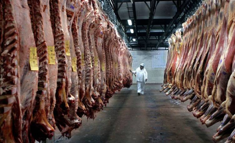 Desde el campo advierten que volverá a subir el precio de la carne