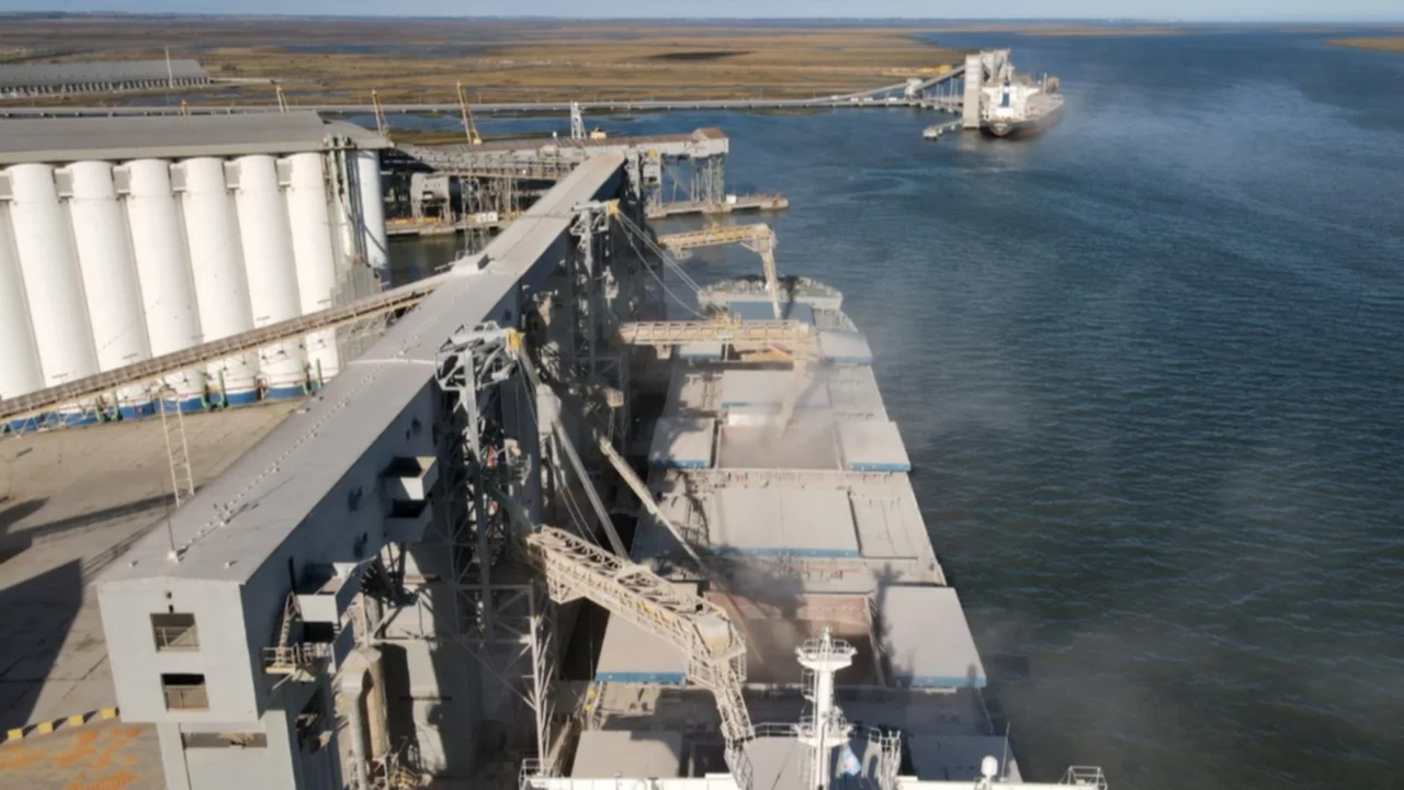 El peso (y los dólares) de la agroexportación: en 2021 ingresaron más de U$S 32.800 millones