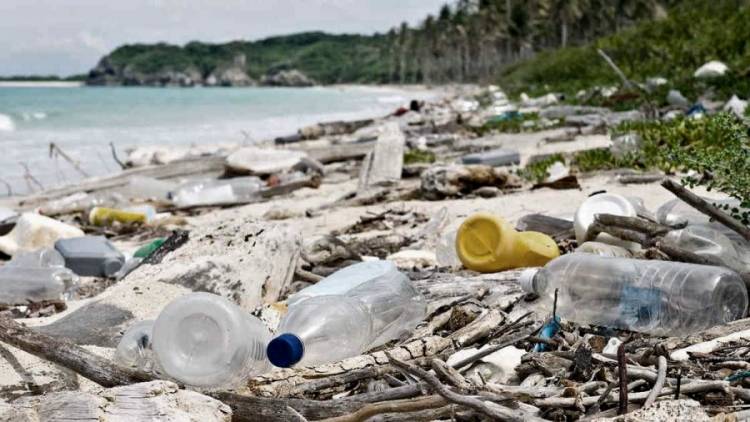 Comemos y respiramos plástico: la advertencia de científicos y un acuerdo histórico de la ONU