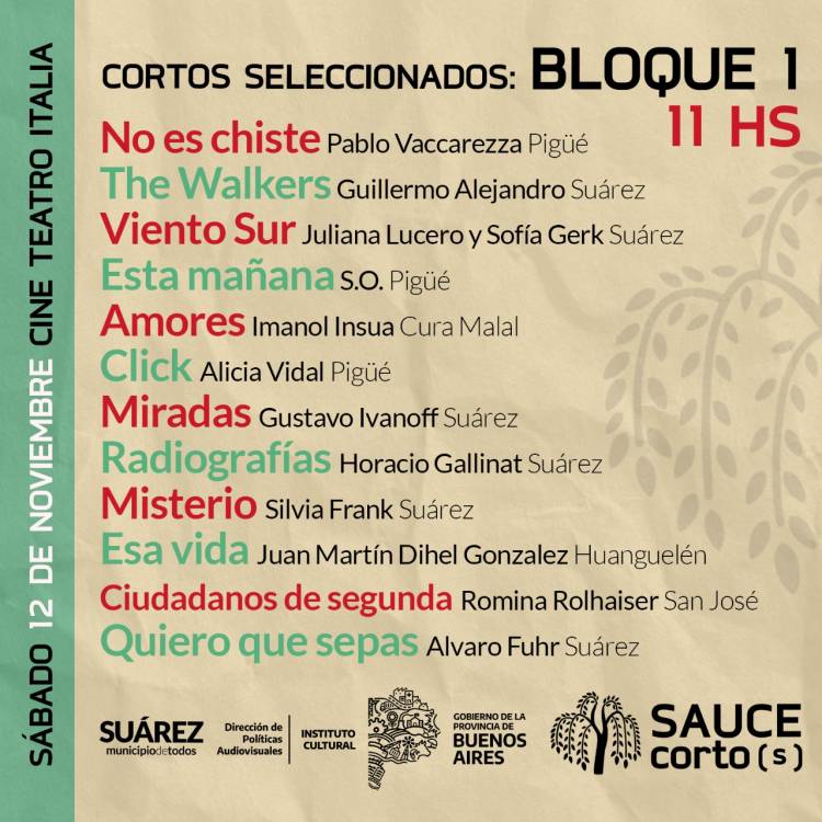Son 22 los artistas seleccionados para la 2° edición del Festival de Cine de Coronel Suárez