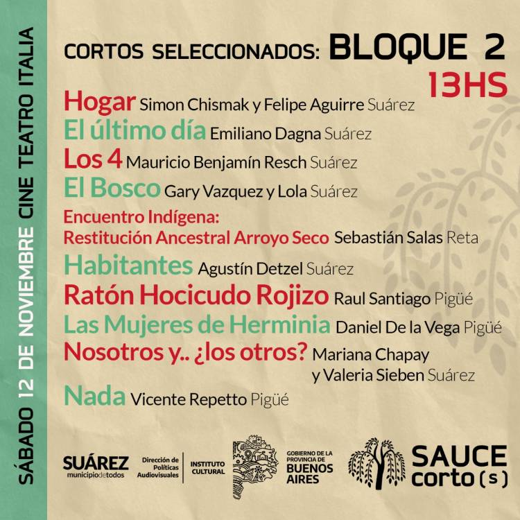 Son 22 los artistas seleccionados para la 2° edición del Festival de Cine de Coronel Suárez