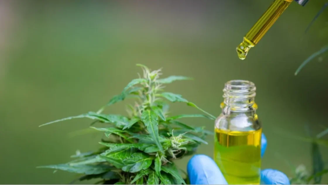 La ANMAT autorizó la comercialización del primer aceite de cannabis producido en Argentina