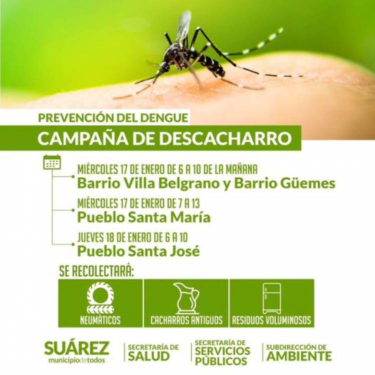 Prevenir el Dengue: Suárez pone en marcha la Campaña de descacharrado