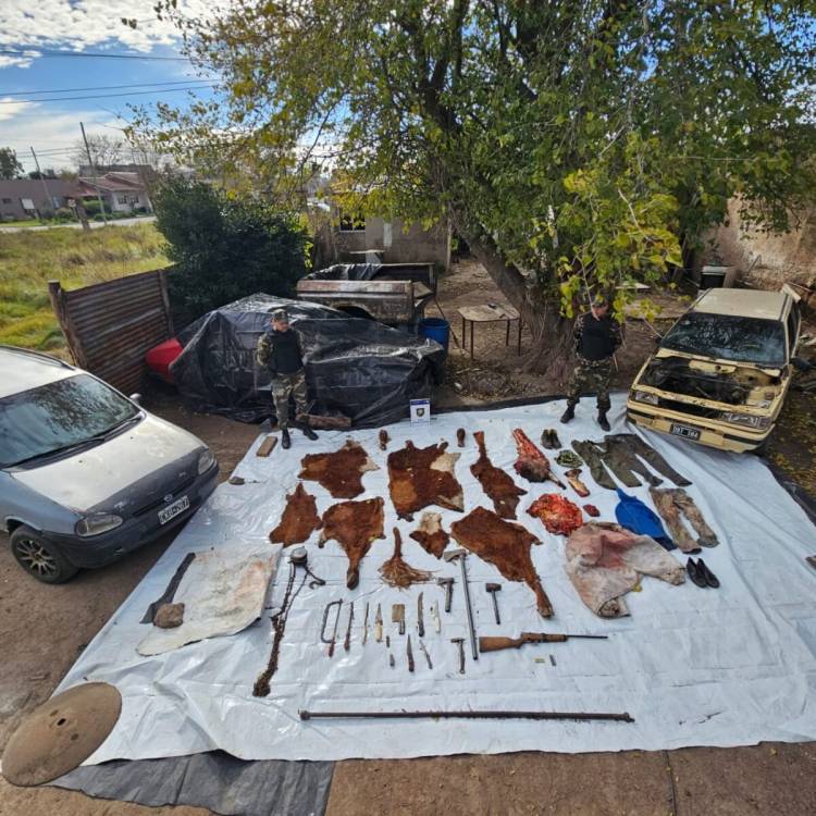 Abigeato: Aprehenden a una persona y secuestran restos de animales en Gonzáles Chaves