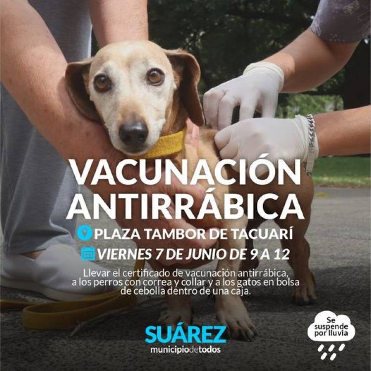 Campaña de vacunación antirrábica en la Plaza Tambor de Tacuarí