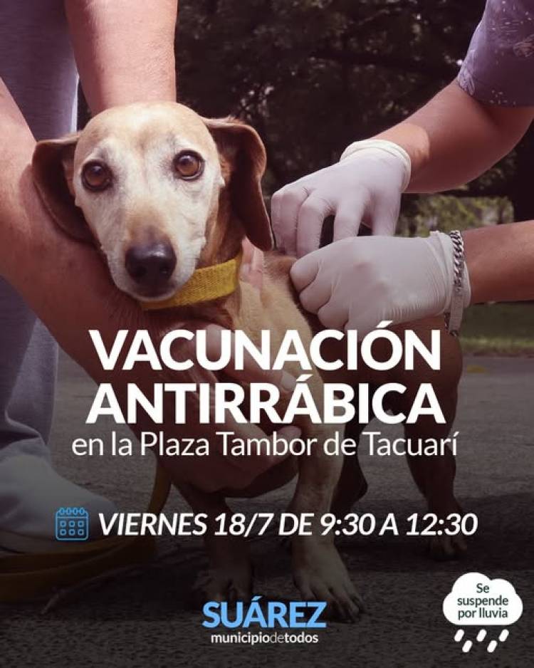 Campaña de Vacunación Antirrábica en la Plaza Tambor de Tacuarí
