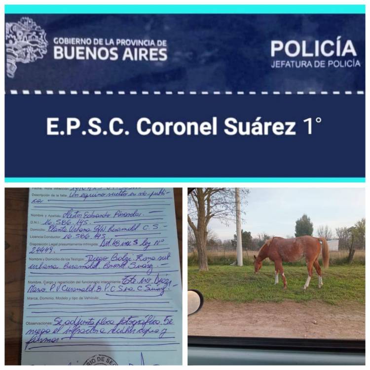 PARTE DE PRENSA POLICIAL