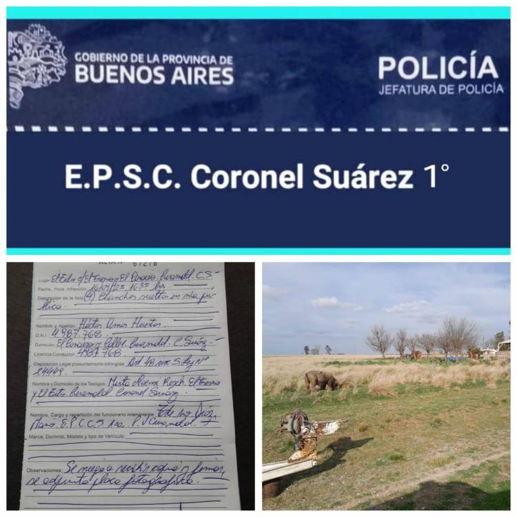 PARTE DE PRENSA POLICIAL