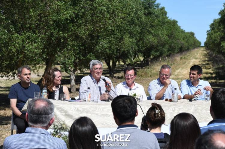 RUTA DEL OLIVO – SUDOESTE BONAERENSE