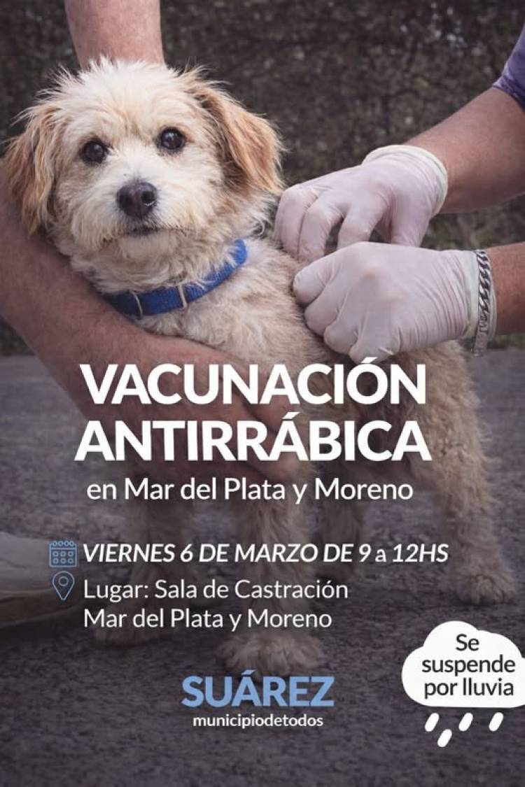 Campaña de Vacunación Antirrábica en la ciudad