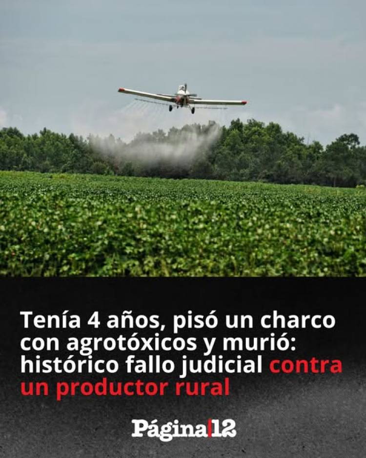 Condenaron a un productor rural por la muerte de un niño intoxicado con agrotoxicos