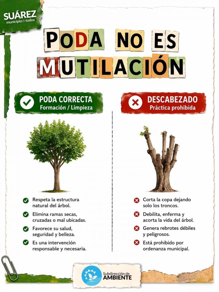 ¡ATENCIÓN VECINOS! INICIÓ LA TEMPORADA DE PODA