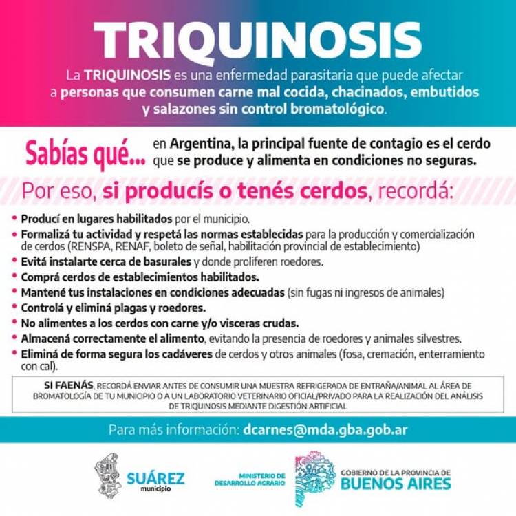 ¿Sabías que consumir carne mal cocida puede ponerte en riesgo de contraer triquinosis?