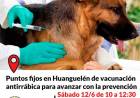 Huanguelén: vacunación antirrábica gratuita⠀