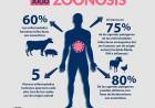 6 de Julio, Día Mundial de las Zoonosis