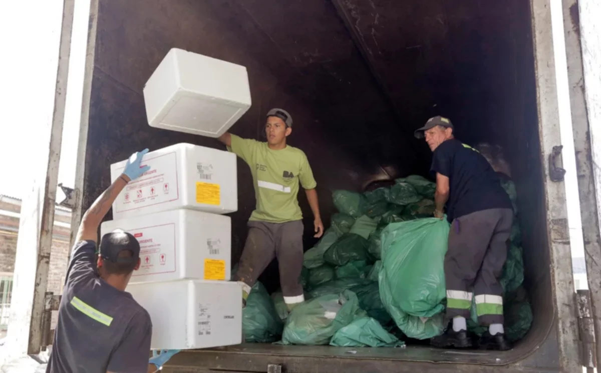 La cantidad de planes sociales creció el 65 02 y se gastan $2 billones