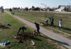Proyecto de Forestación sobre Av. Casey - Más de 100 jóvenes y un objetivo: “Plantar Vida”
