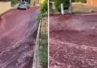 Ríos de vino en Portugal tras explosión de tanque