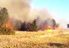 Controlan enorme incendio cerca del Dique Paso de las Piedras