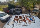 Abigeato: Aprehenden a una persona y secuestran restos de animales en Gonzáles Chaves