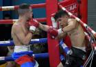 Noche fría y exitoso 2do festival de boxeo en Club El Progreso de pueblo Santa María