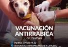 Campaña de vacunacion antirrabica en Pasman