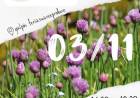 Para agendar XXV Feria de la Horticultura Familiar + Suárez Produce