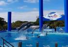 El Aquarium Mar del Plata cierra sus puertas después de más de 30 años