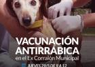 Campaña de vacunación antirrábica en el ex Corralón Municipal