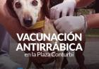 Campaña de Vacunación Antirrábica en la Plaza Conturbi