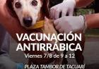 Campaña de Vacunación Antirrábica en la Plaza Tambor de Tacuarí