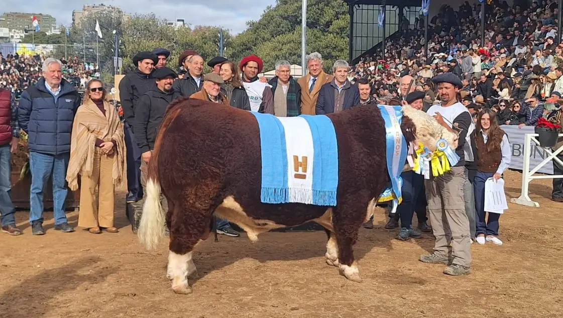 La Rural de Palermo encontró nuevamente sus mejores animales en el Sudoeste Bonaerense