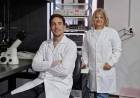 UNS: científicos bahienses realizan un avance clave para entender el impacto del cannabis en el cerebro