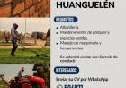 BÚSQUEDA LABORAL EN HUANGUELÉN