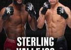 Kevin Vallejos peleará contra el excampeón de UFC Aljamain Sterling para acercarse al título