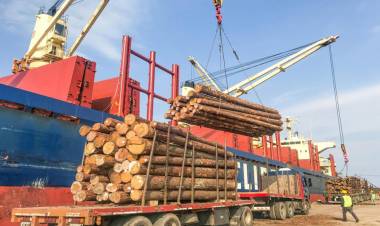 China es un importante comprador de madera argentina