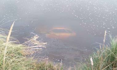Rally en Claromecó: un auto volcó y cayó al arroyo