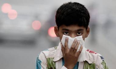 La OMS endureció los límites de contaminación del aire, que causa 7 millones de muertes por año