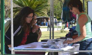 Ferias populares en Bahía, una alternativa que crea empleo y oportunidades