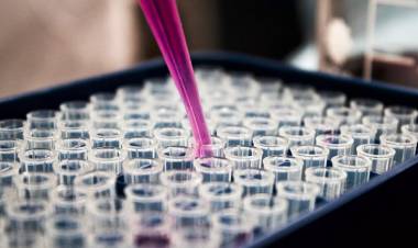 Plantas que se plantan frente al coronavirus