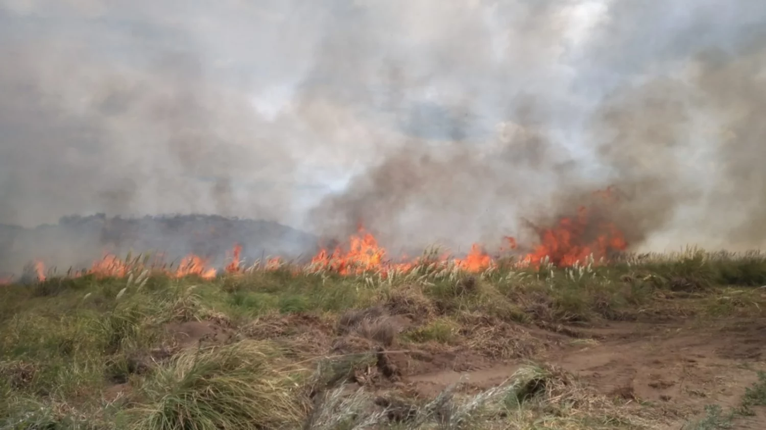 Monte: un incendio afectó unas 60 hectáreas al norte de Sauce Grande