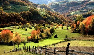 Disponer de un medio ambiente sano fue declarado como un derecho humano universal