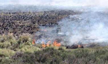 Monte Hermoso: un incendio arrasó unas 50 hectáreas de campo