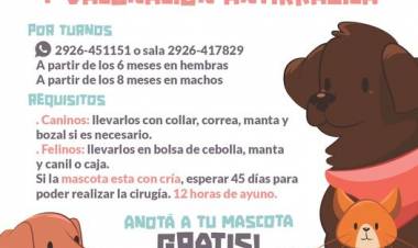 Castración y Vacunación Antirrábica Gratuita