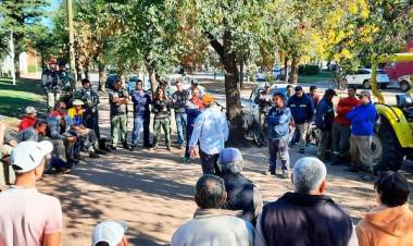 Capacitación práctica para podadores particulares