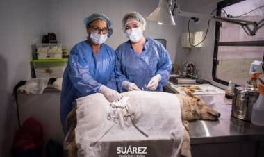 Durante el mes de mayo se realizaron 94 castraciones en Santa Trinidad