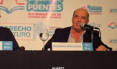 1° jornada de políticas universitarias en el marco del programa “Puentes”