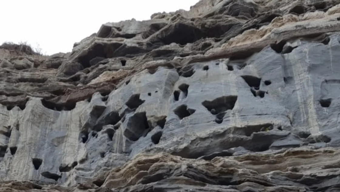 Apoyo a Viedma para la creación de la Reserva Natural Acantilado de los Loros